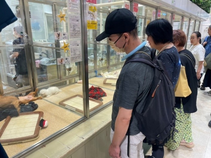 メンバーの皆さんが、ペットショップのケースにいる犬を見ています。